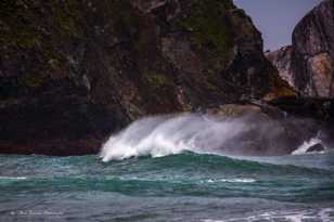 Big Sur coast-8435